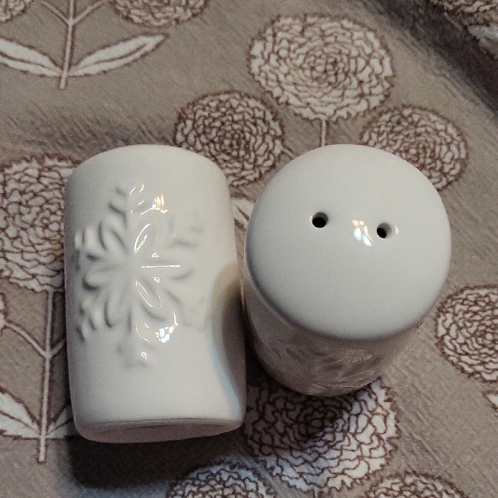 Elegant White Ceramic Salt and Pepper Shakers